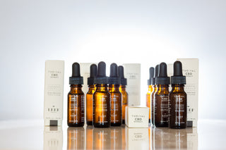 THE ENDOCANNABINOID SYSTEM